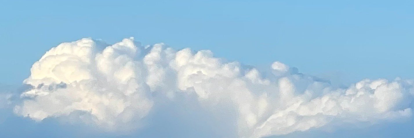 MeganMacNamee's profile banner image