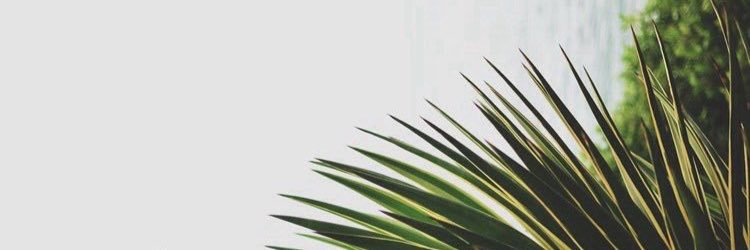 karinaqurl's profile banner image
