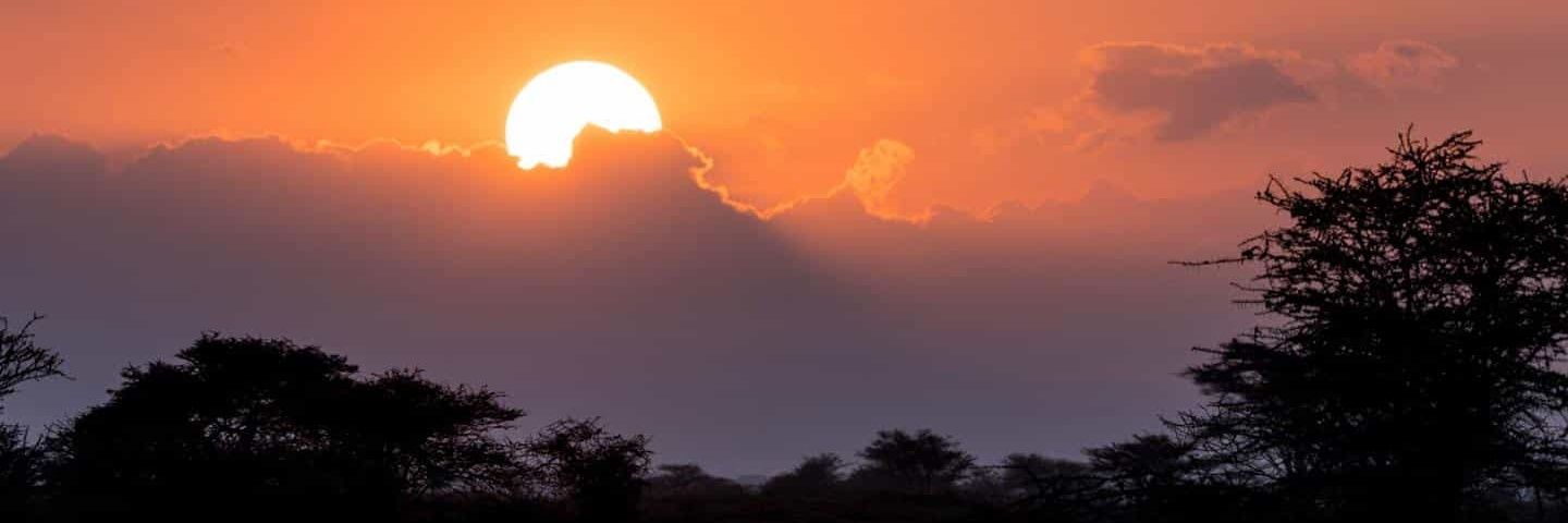 Roberto 👲🏻 banner