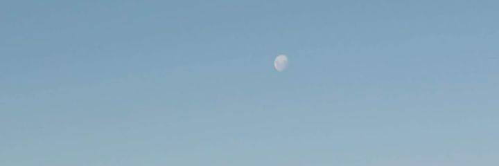maccarenabrend1's profile banner image