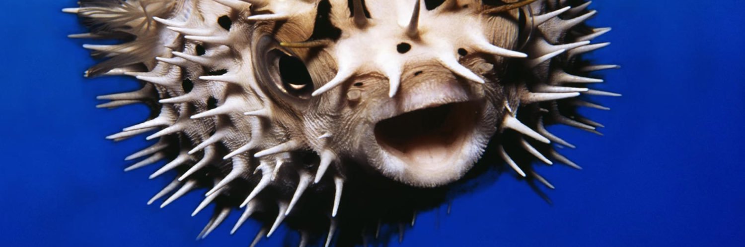 antomk8's profile banner image