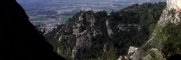 javiscos Profile Banner