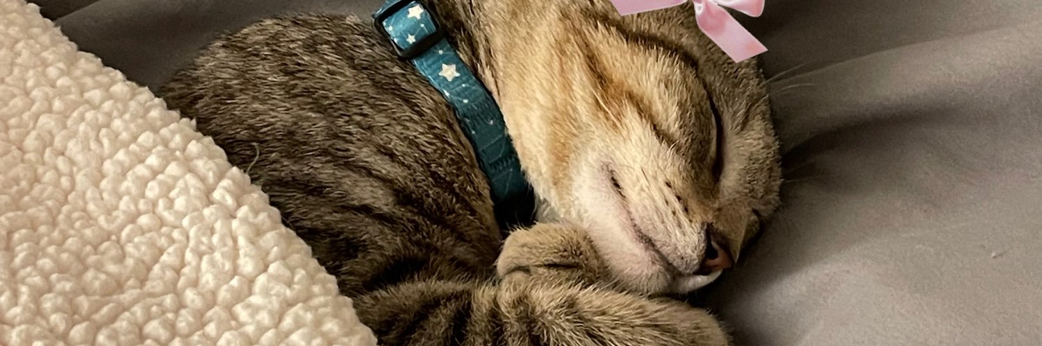 lsvxo_'s profile banner image