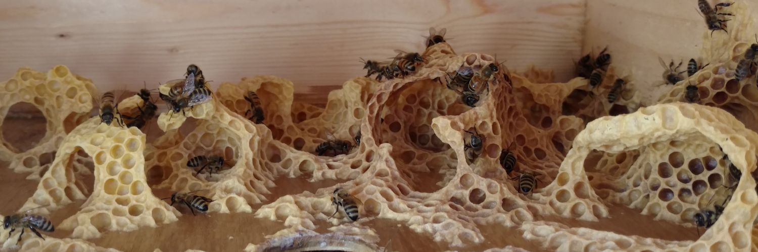 JøN ⚜️ banner