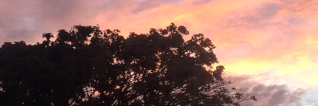 Triona_12's profile banner image