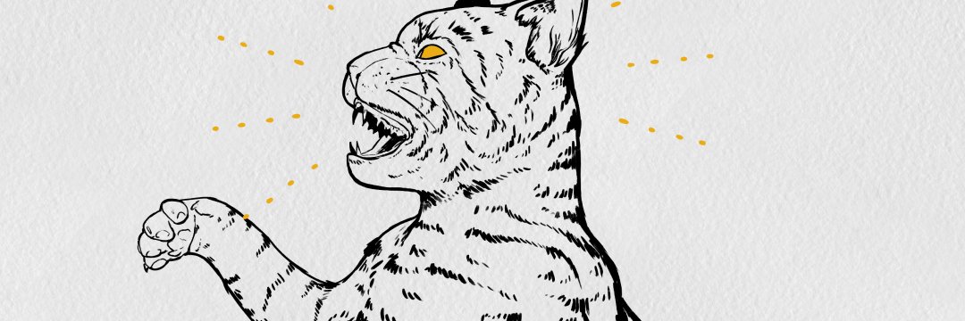 convelocity's profile banner image