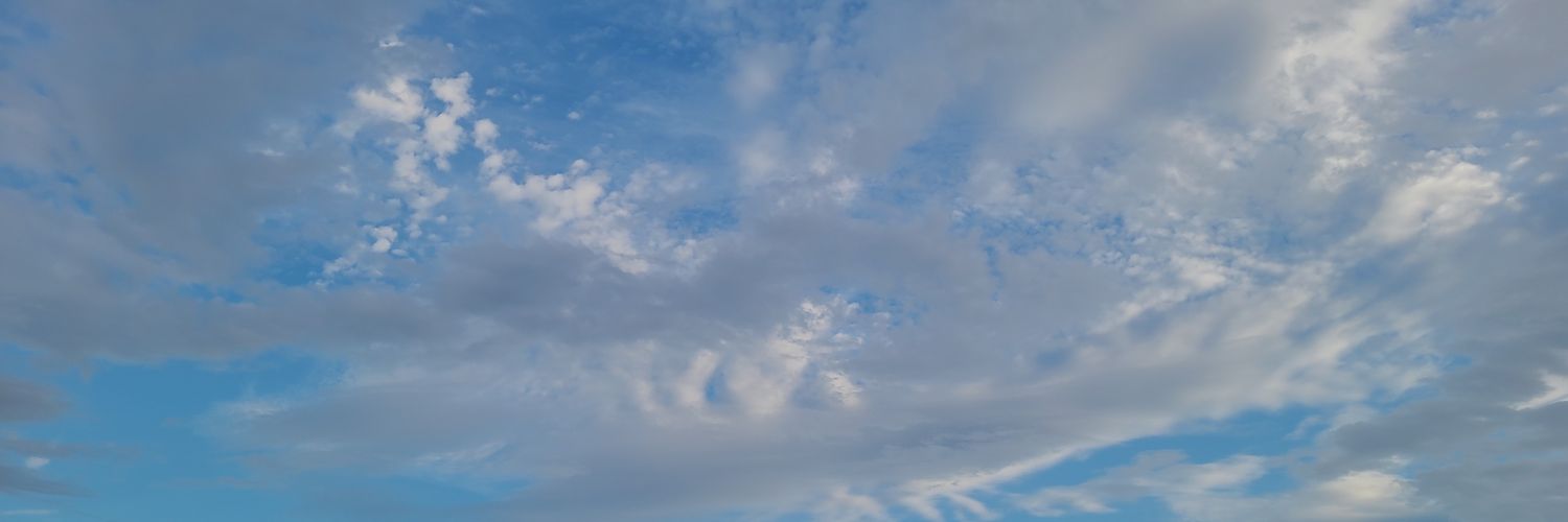 flavia_teacher's profile banner image