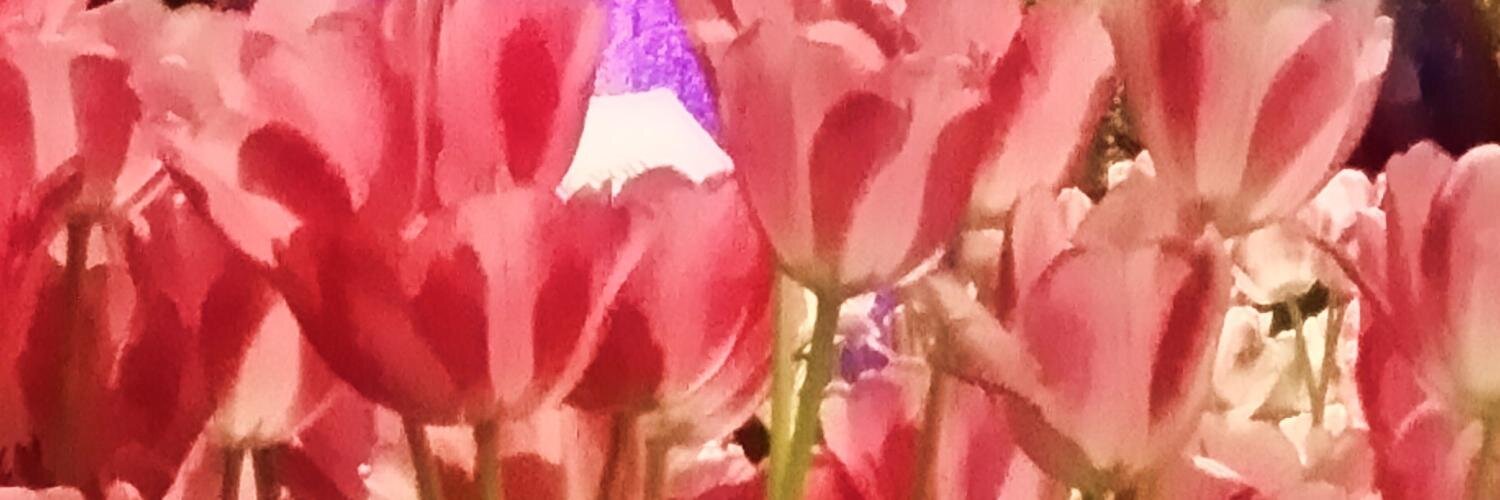 TWebbs_world's profile banner image