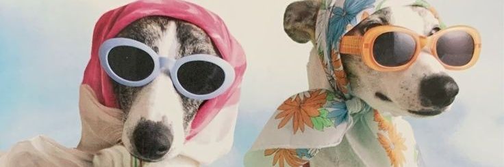 lulivinas's profile banner image