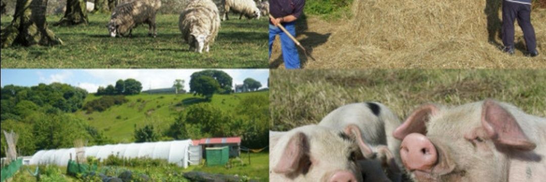 Smallholders Ireland banner