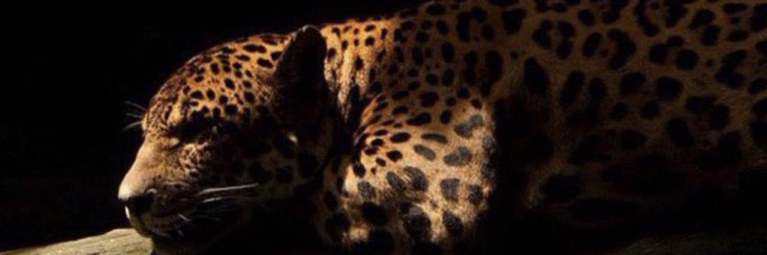 ID7i3's profile banner image