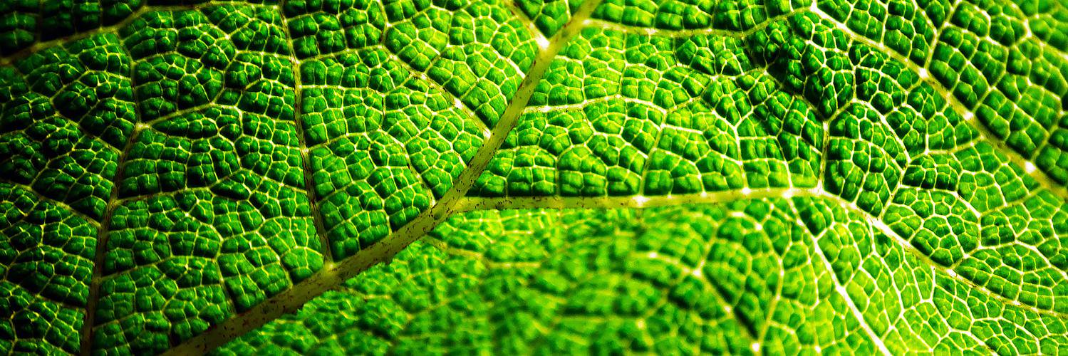 Thermaflex's profile banner image