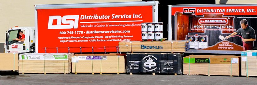dsi_service's profile banner image