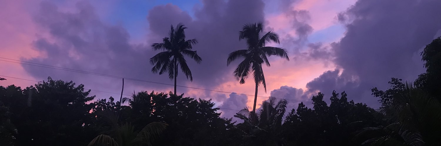 caitiexbug's profile banner image