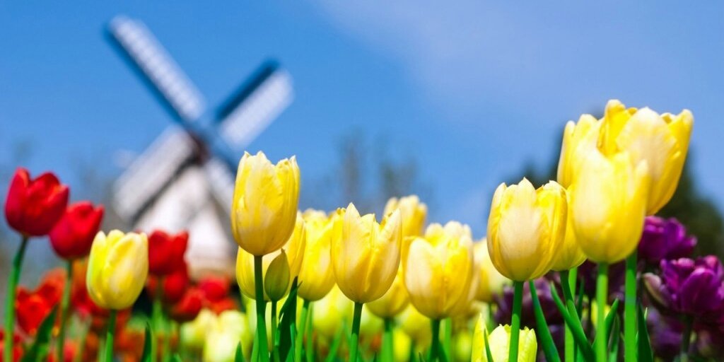wtyas_w's profile banner image