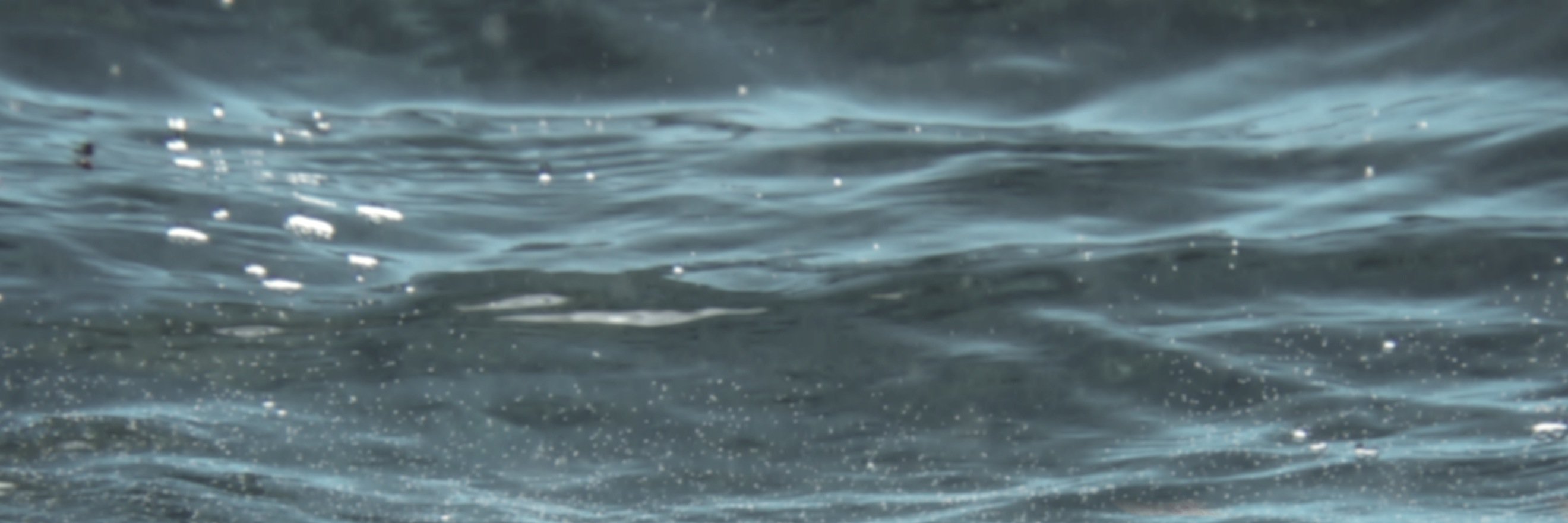 NettingthePlay's profile banner image