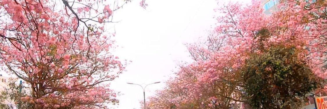 nel_rajan's profile banner image