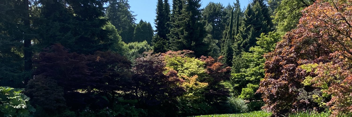 ReidSabrina's profile banner image
