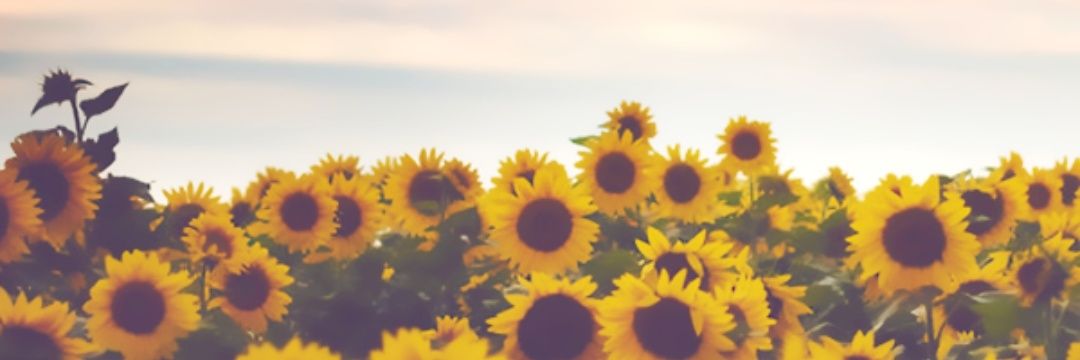 amcb97's profile banner image