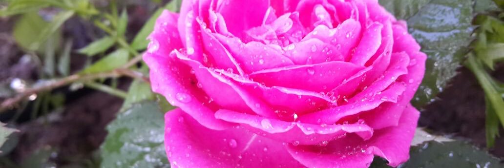 sl89223's profile banner image