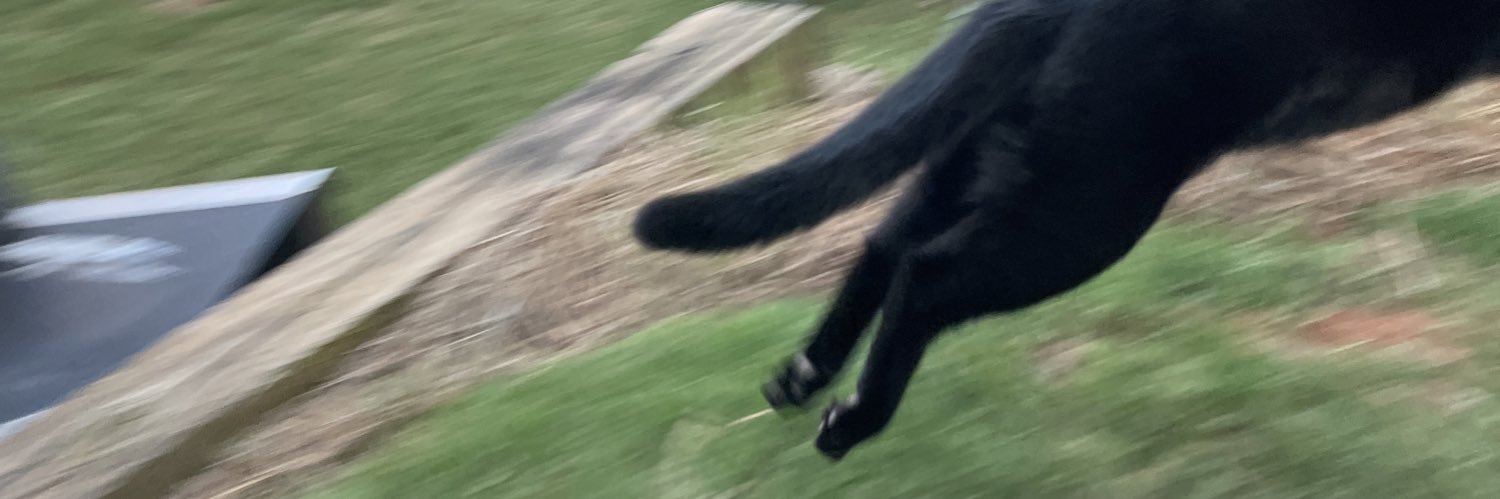 hamiltonkeener's profile banner image