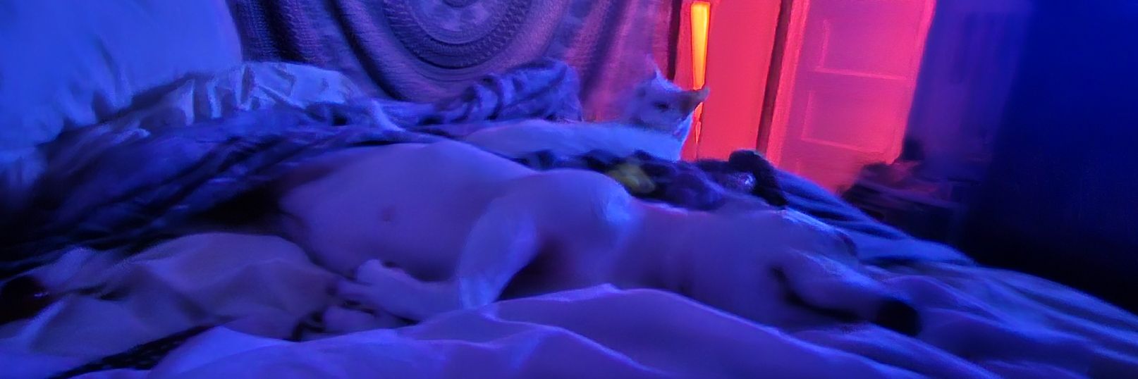 MissYvette011's profile banner image