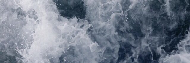 brocodilehumper's profile banner image