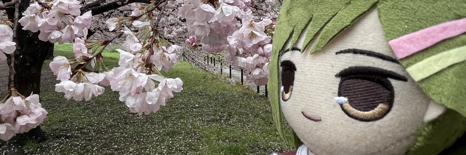 沼皇🪷 banner