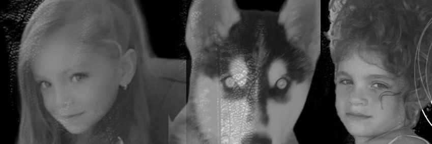Sam Wilson banner