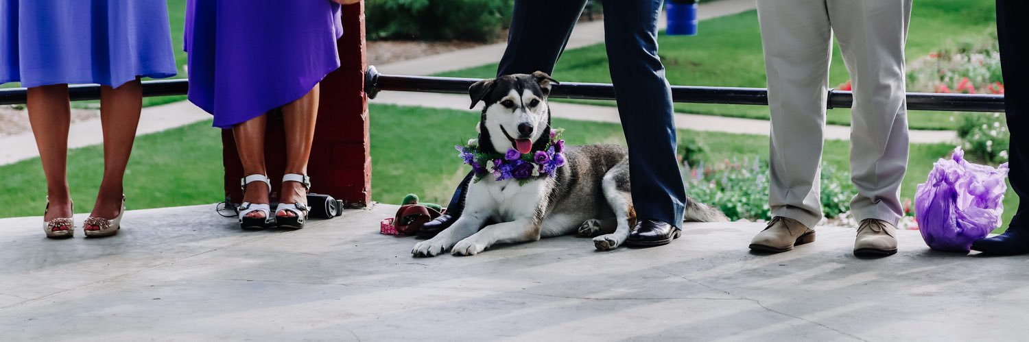 RachelIsaThomas's profile banner image