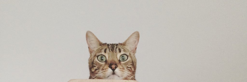 NeilParfitt's profile banner image