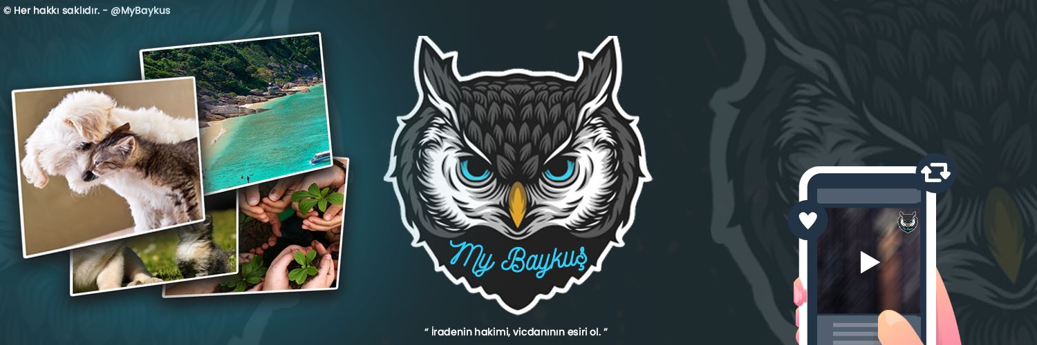 MarioBarco92's profile banner image