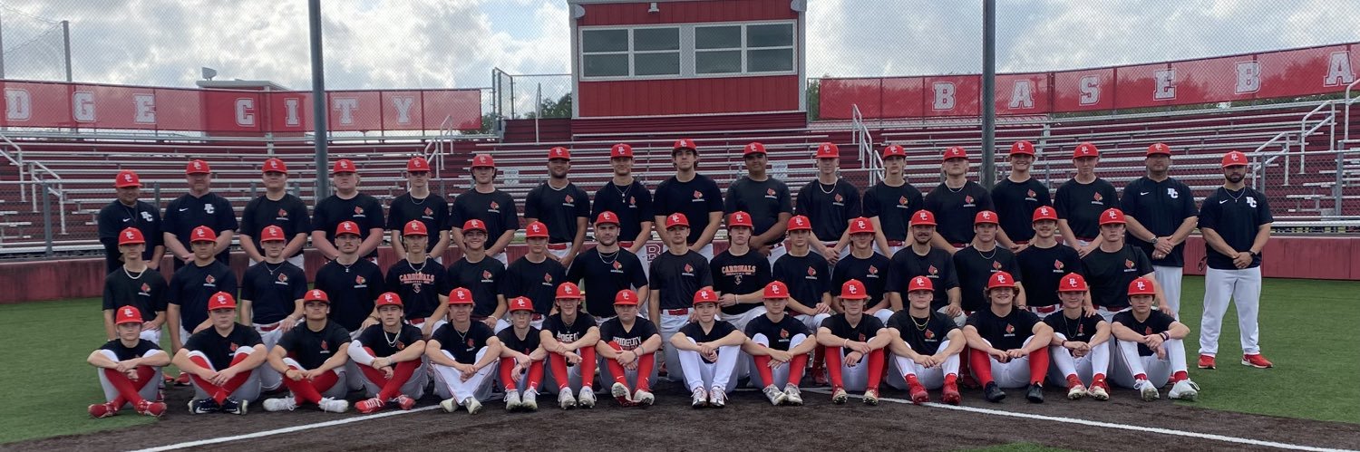 BridgeCityBaseball banner