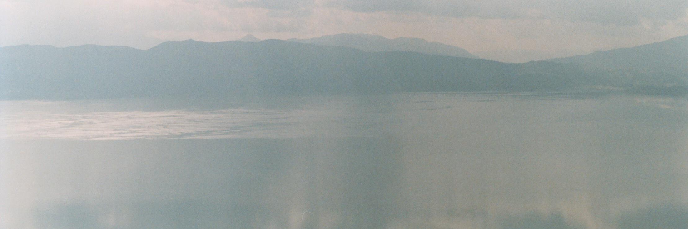 MoiraDonovan's profile banner image