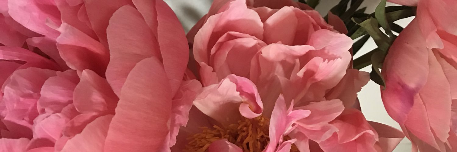 BethBGoad's profile banner image