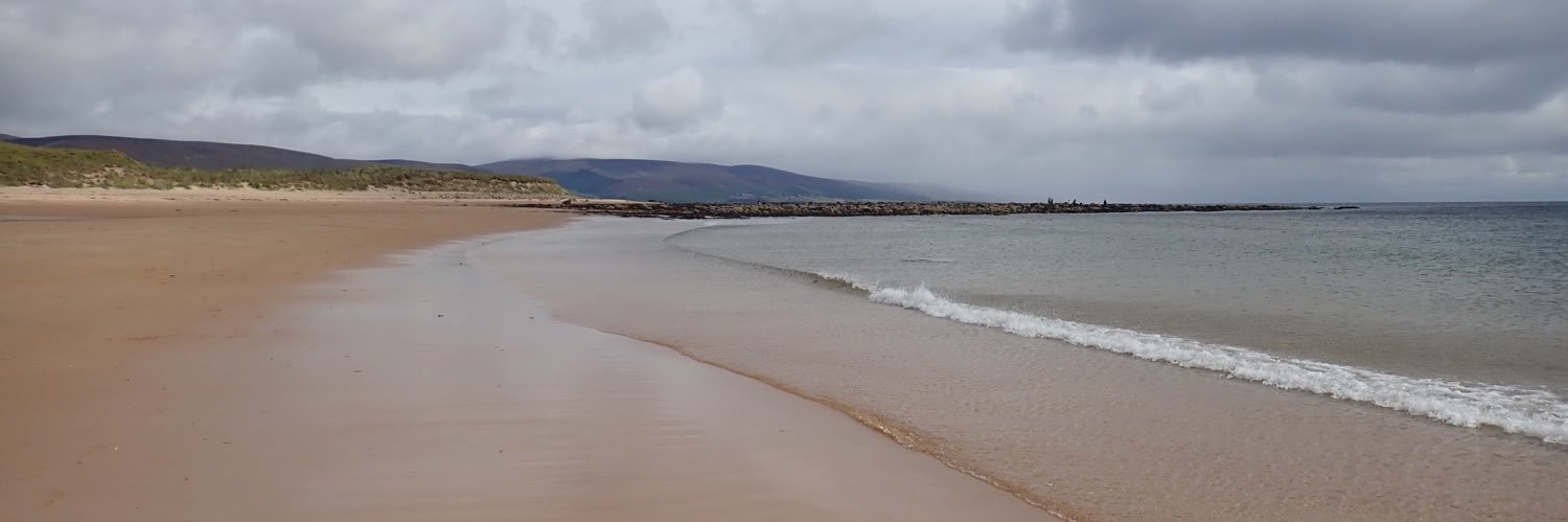 Alison B banner