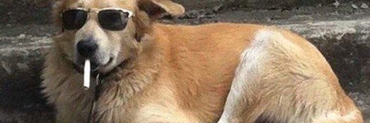 hopesterrr's profile banner image