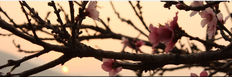 basnetsubash984's profile banner image