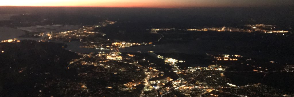 Amy Selvaggio banner