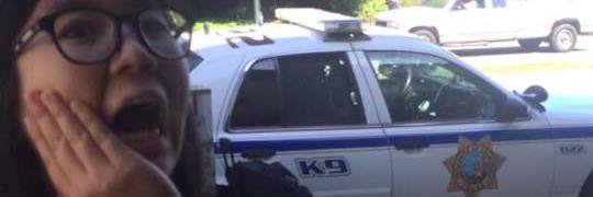 k9defenseunit's profile banner image