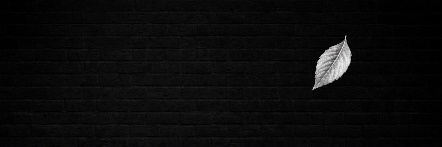 mike_inu's profile banner image