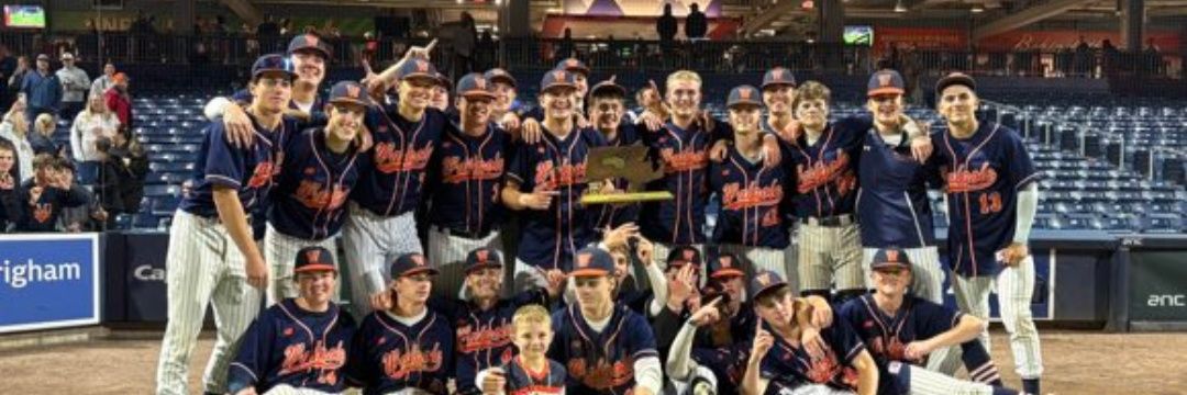Walpole Baseball banner