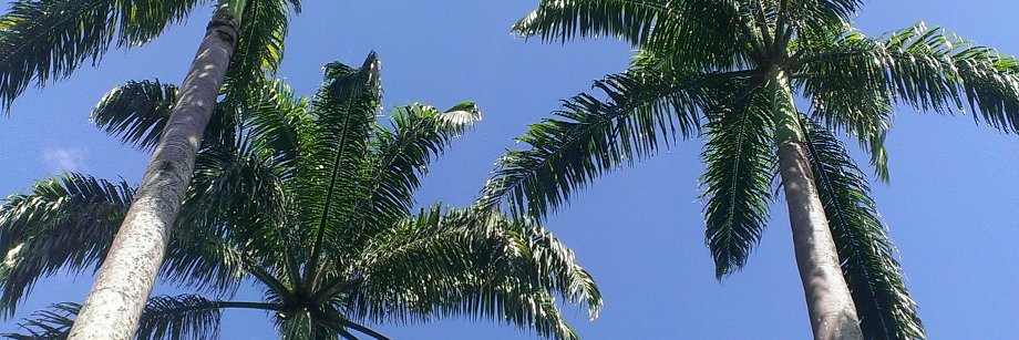 leydadelvalle's profile banner image