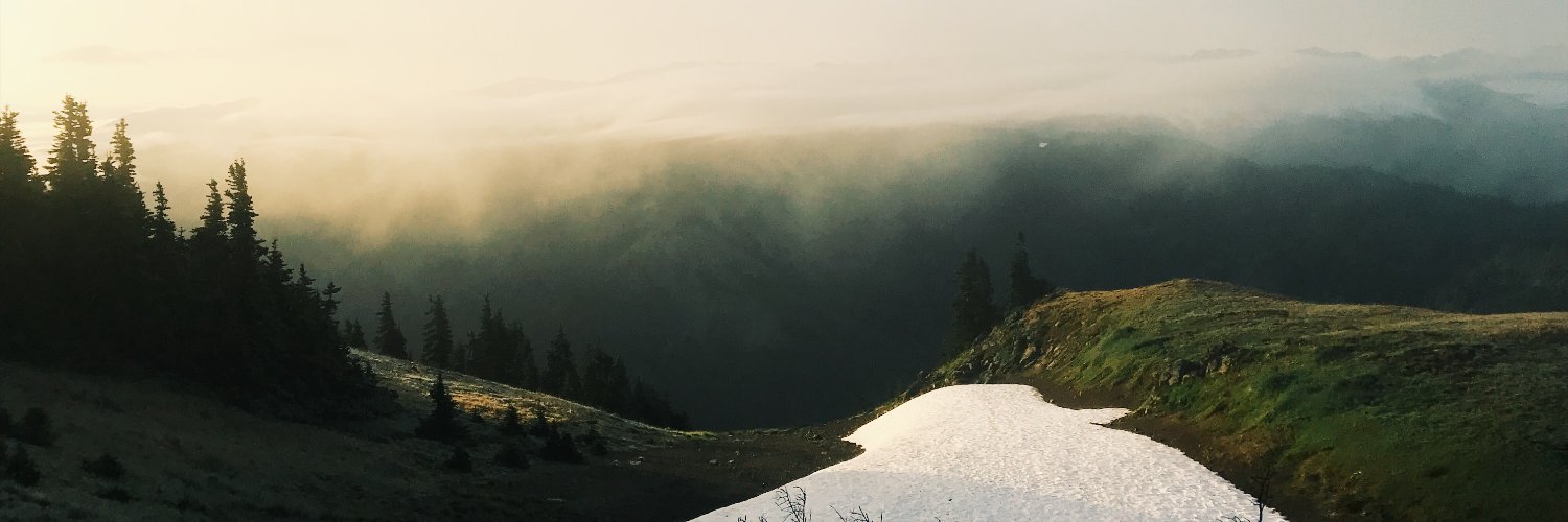 eashmerely's profile banner image