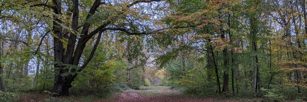 KimPolgreen Profile Banner