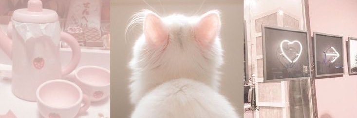 kittlenx's profile banner image