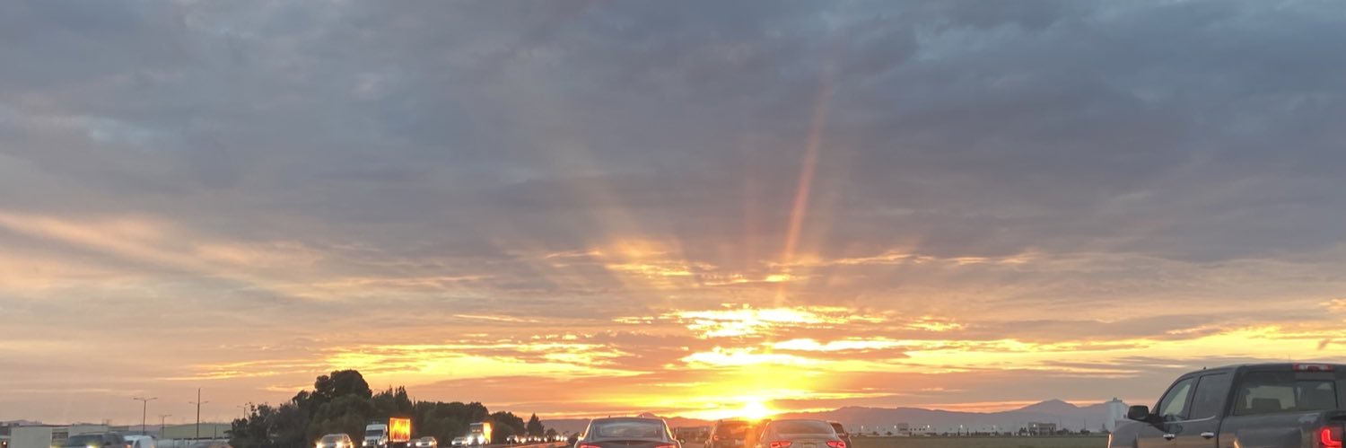 LoLoBear3's profile banner image