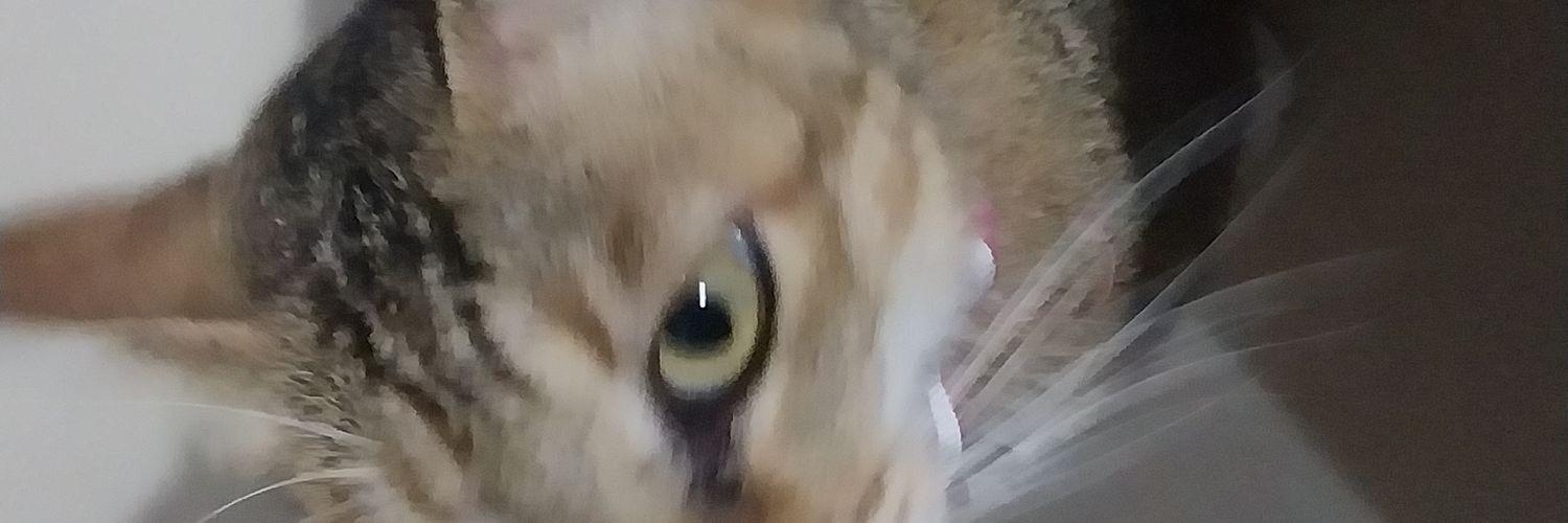 mofadma's profile banner image
