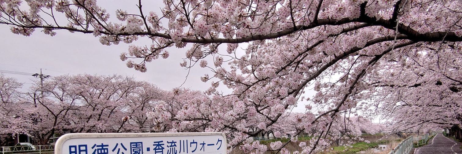 itasan23's profile banner image