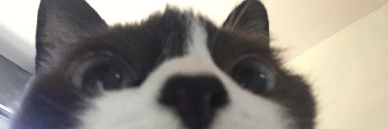 xuliafig's profile banner image
